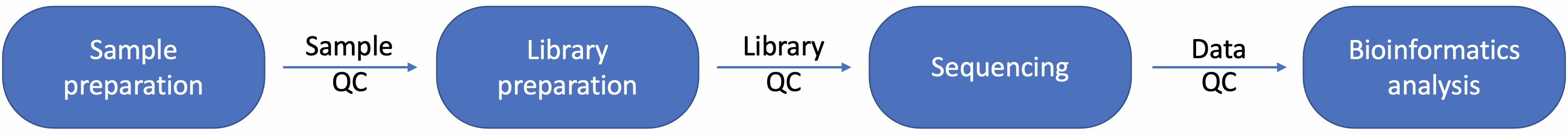 Fig 2. Illustration of single-cell sequencing process. (Creative Biolabs)