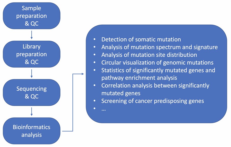 Fig 1. Whole genome sequencing solutions step by step. (Creative Biolabs)