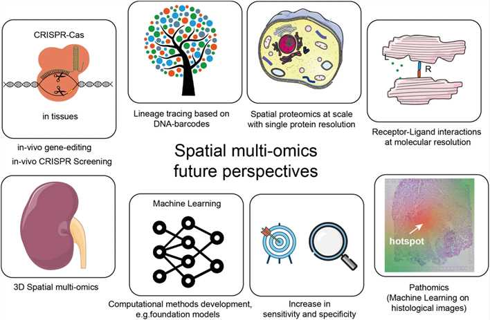 Fig 1. Several avenous to be implemented in spatial multi-omic experiments.