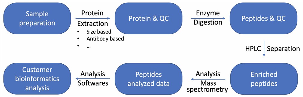 Fig 1. Proteomic analysis step by step. (Creative Biolabs)