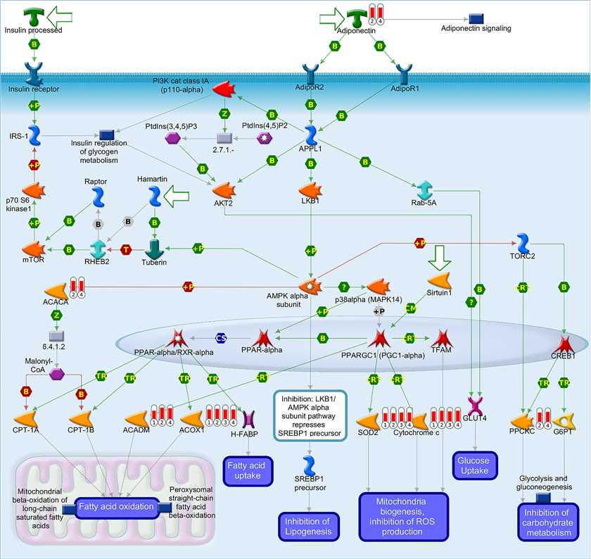 Fig 1. Well-characterized proteins or protein complexes are shown as individual symbols.