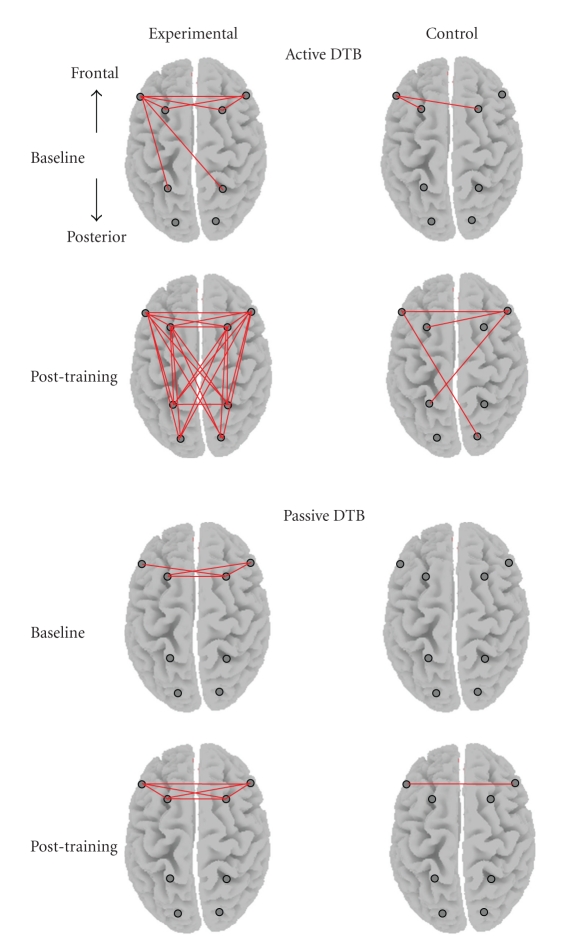 Research on the electrophysiological aspects of the frontal and posterior areas within the brain.