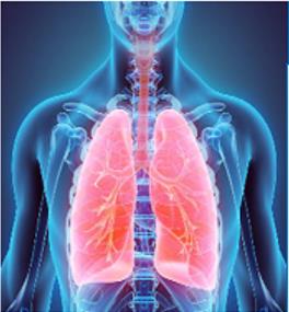 Creative Biolabs (Creative Biolabs Authorized)