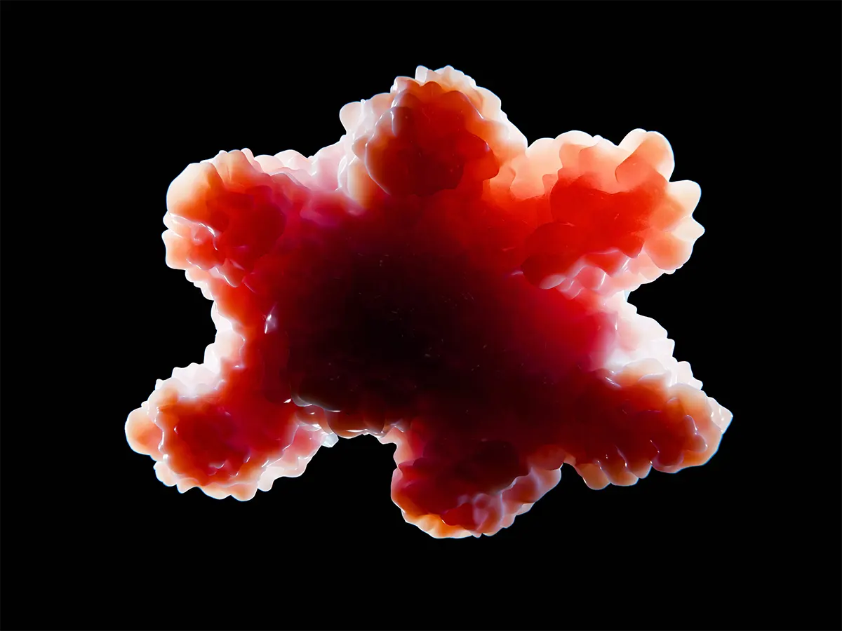 Self-organization of organoids