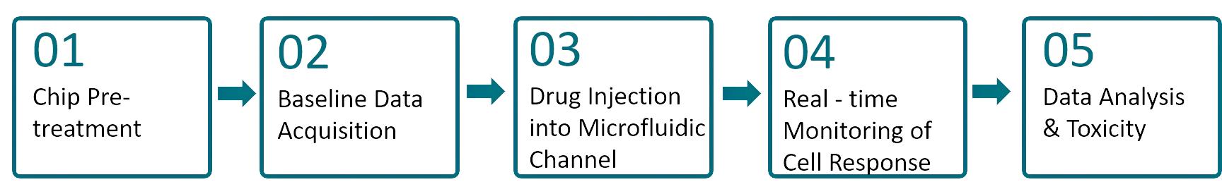 Figure 2 Organ-on-a-Chip: A Step-by-Step Workflow Illustration. (Creative Biolabs Original)