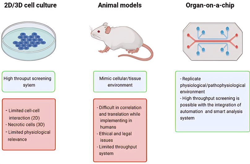 Figure 2: Advantages of OOAC Technology Compared to Cell Cultures and Animal Models. (OA Literature)