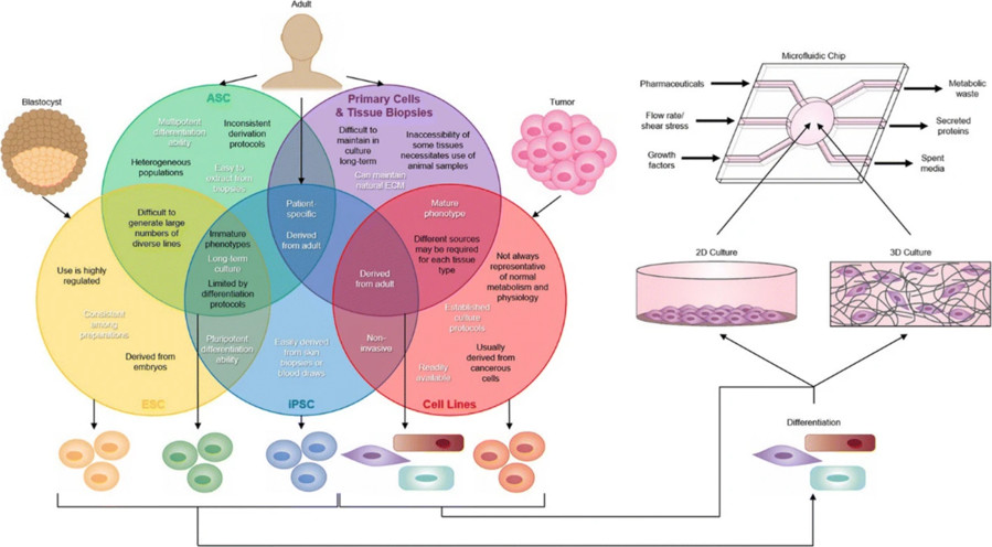 Figure 1 Sources of Tissues for Organ-on-a-Chip (OOAC) Devices. (OA Literature)
