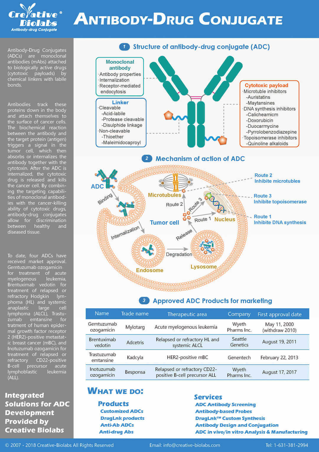 Antibody-Drug Conjugate