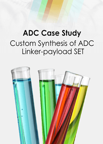 ADC Case Study-Custom Synthesis of ADC Linker-payload SET