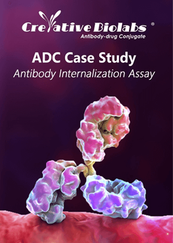 ADC Case Study-Antibody Internalization Assay