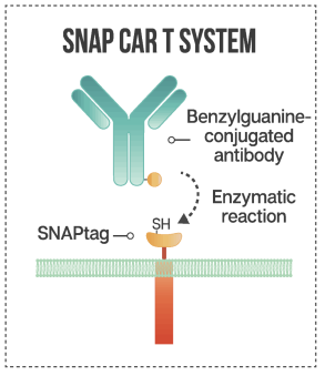 Figure 5. SNAP CAR. (Sutherland, et al., 2020)