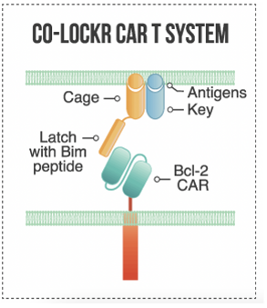 Figure 6. Co-LOCKR CAR. (Sutherland, et al., 2020)