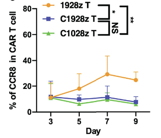 Fig.2 Detection of the expression of CCR8 CAR T cells by flow cytometry. (Zheng, et al., 2022)