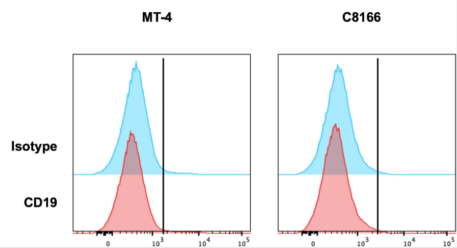 Fig.4 Cytolytic activity of anti-CCR8 CAR-T in ATLL cell lines. (Zheng, et al., 2022)