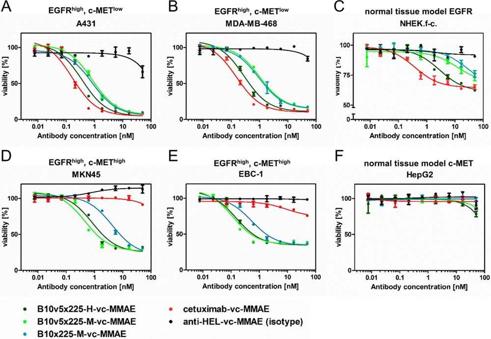 Cytotoxicity comparison of EGFR c-MET bispecific SEED antibody-drug conjugates and relevant controls.