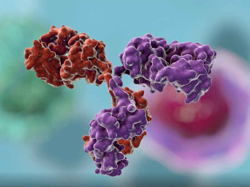 Depletion of CD20+ B cells after administering anti-CD22 or anti-CD79b ADCs.