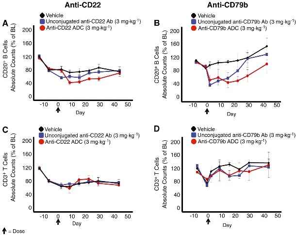 Depletion of CD20+ B cells after administering anti-CD22 or anti-CD79b ADCs.