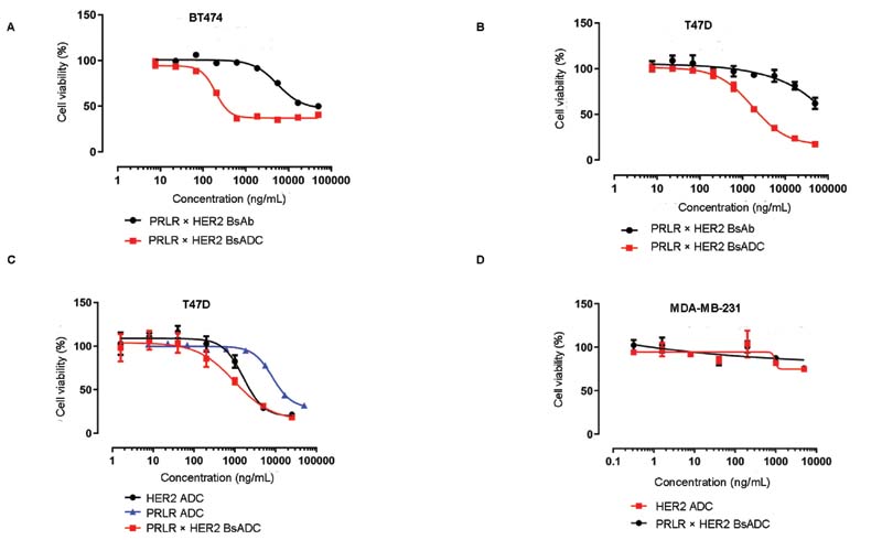 In vitro cytotoxicity results of PRLR×HER2 bispecific ADC on tumor cell lines using CCK8 assay.
