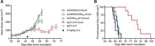 2.Efficacy of HER2 and CD63 bispecific ADCs in a SK-OV-3 xenograft model.