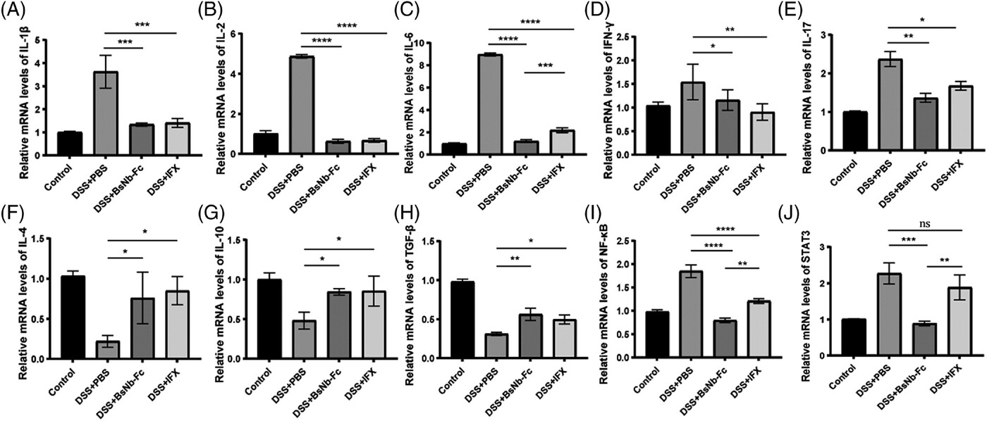 A schematic illustration on the experimental results that BsNb-Fc reduces the overexpression of pro-inflammatory cytokines triggered by DSS in colonic tissues. (OA Literature)