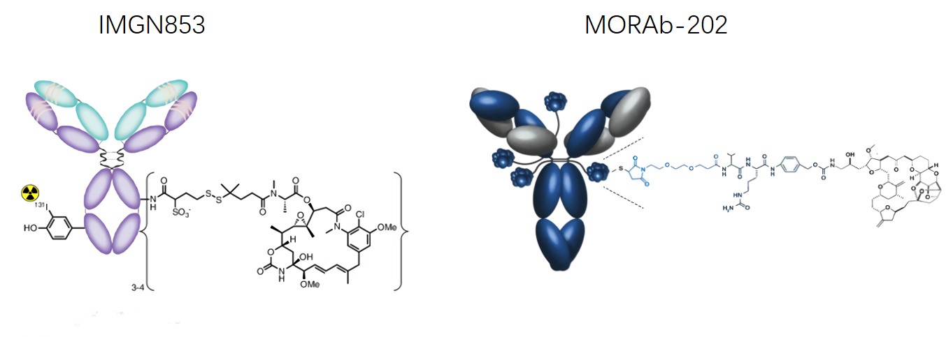 Schematic diagram of the simple structure of IMGN853 and MORAb-202.