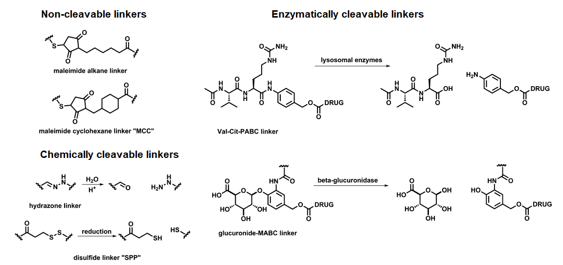 Fig.1 Schematic diagram of common linkers.