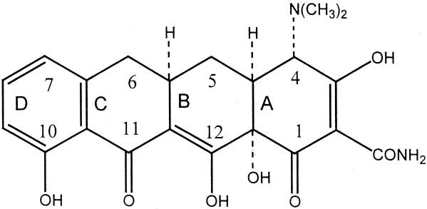 Structure of 6-deoxy-6-demethyltetracycline, the minimum tetracycline pharmacophore.
