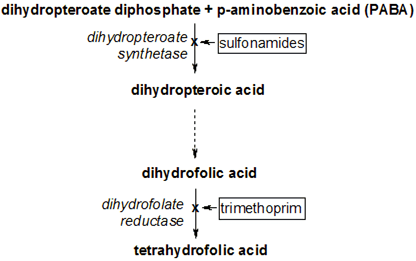 Fig.1 A schematic diagram on the mechanism of sulfonamide inhibition of PABA and diphosphate diphosphate conversion.