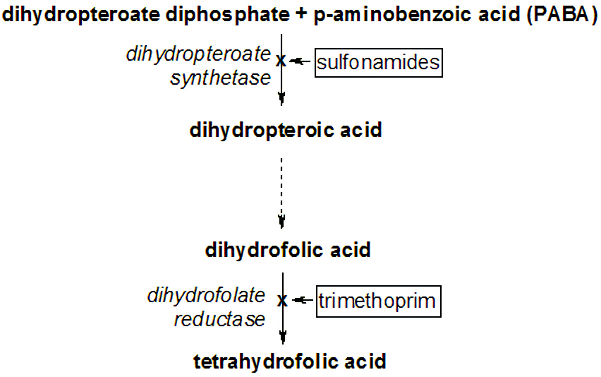 Sulfamethoxazole inhibit conversion of PABA and dihydropteroate diphosphate to dihydrofolic acid or dihydrofolate.