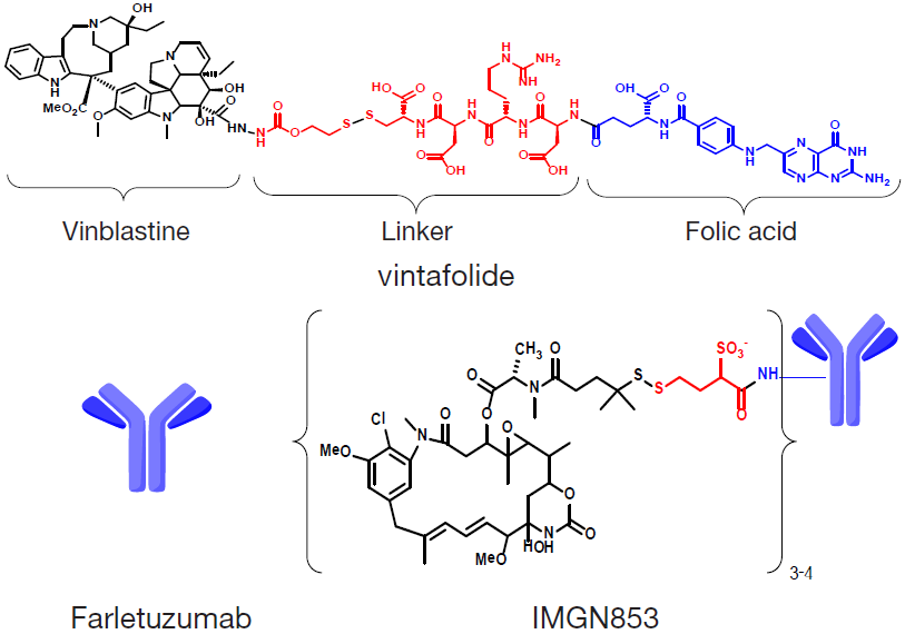 Schematic illustration of FRα-targeting agents vintafolide, farletuzumab and IMGN853. FRα, folate receptor α.