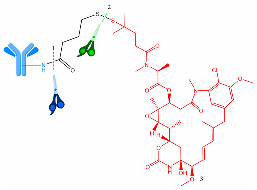 Disulfide Linker Synthesis Service