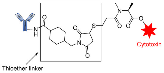 Fig.1 An example of an ADC prepared via the conjugation of payload to the antibody via a non-cleavable linker.
