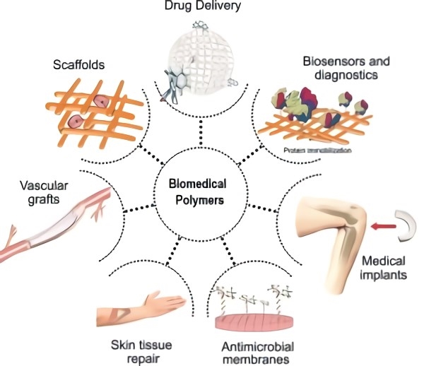 Biopolymers for medical applications. 
