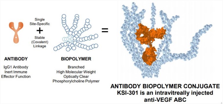 A schematic description of KSI-301.