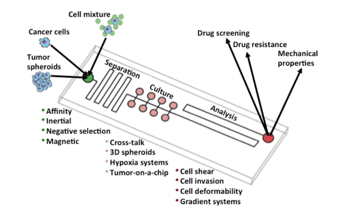 An  overview of the microfluidic chip system (<em>Analyst</em>, 2016).