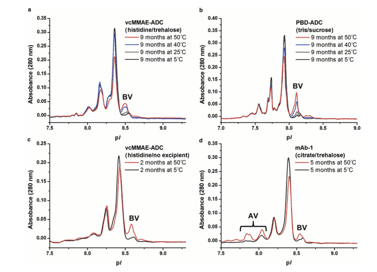  IEF electropherograms for  lyophilized-stressed mAbs and ADCs in various formulations. Temperature induced  increases in acidic variant (AV) and basic variant (BV) populations are  observed in some cases, indicating a reduced thermal stability of ADCs  comparing to unconjugated mAbs. (J Pharm  Sci., 2015)