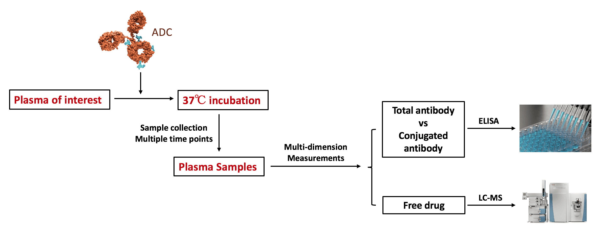  A flow chart representing a general procedure for plasma stability analysis.