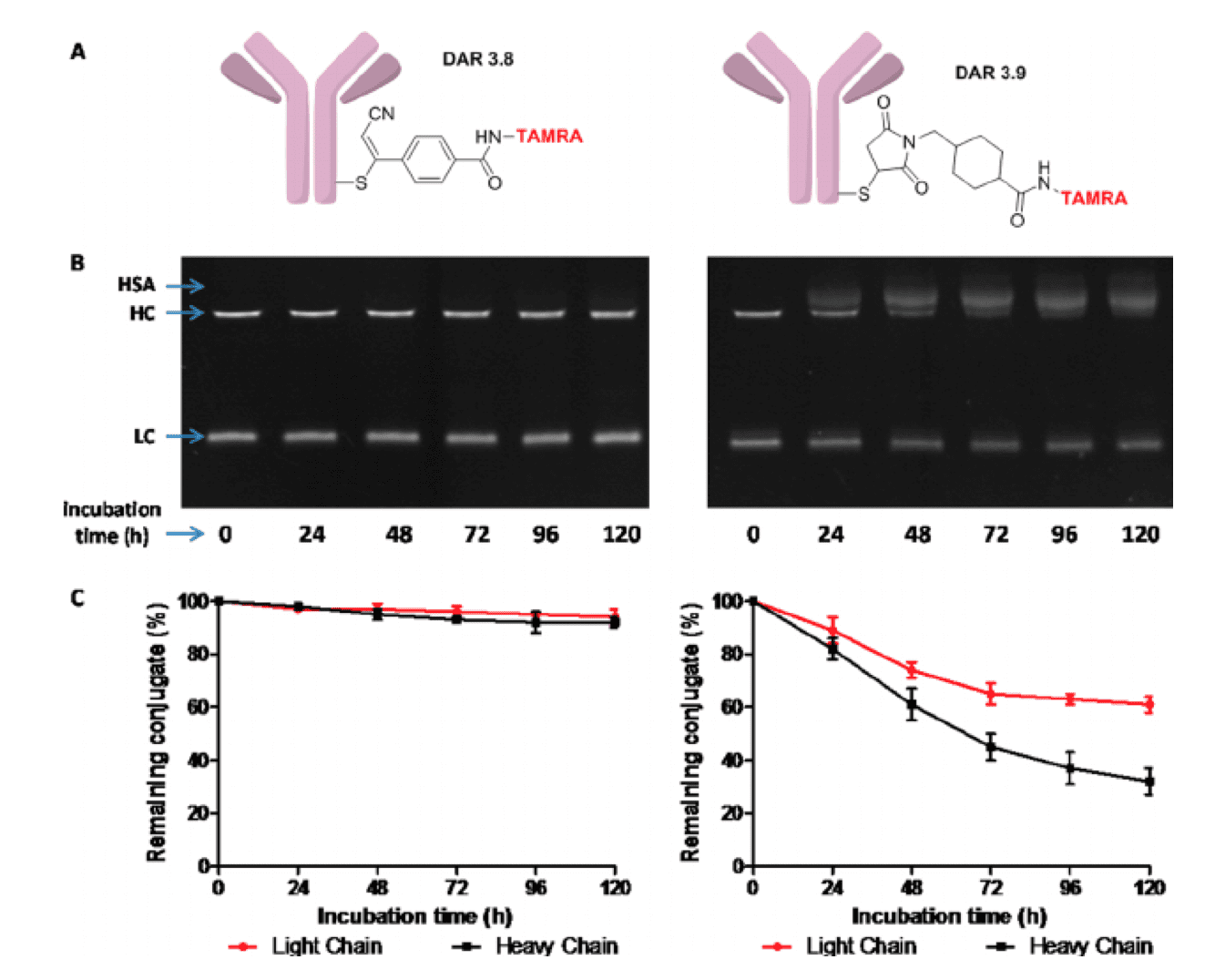  Comparison of plasma stability of CBTF- and SMCC-based conjugates. The CBTF conjugate exerted better plasma stability than the SMCC conjugated ADC (Bioconjugate Chem., 2015).