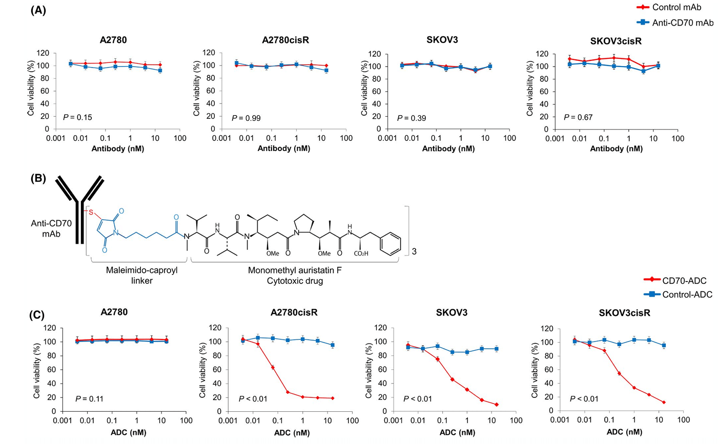 Fig.1 ADC cytotoxicity assay results display graph. (OA Literature)