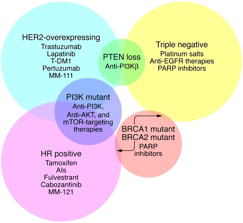 Venn diagram of breast cancer subtypes and their overlapping molecular targets.