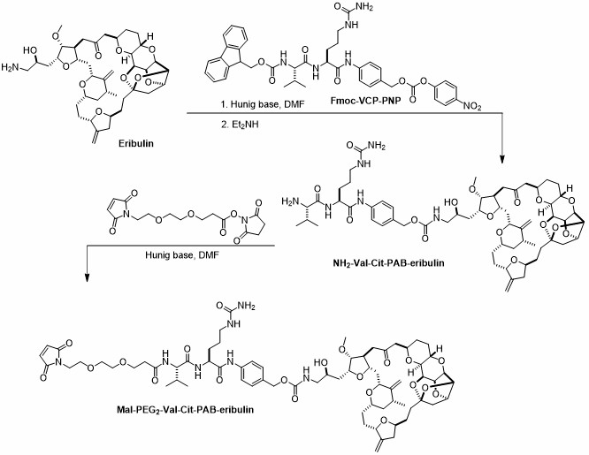Fig.1. Synthetic methods of Mal-PEG2-Val-Cit-PAB-eribulin. (Cheng X, et al., 2018)