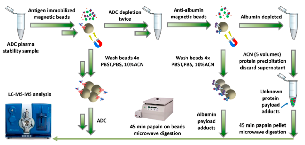 Fig. 1. Bioanalytical workflow for quantifying plasma albumin payload adducts by ADC depletion followed by anti-albumin magnetic bead enrichment. (Dong, et al, 2018)