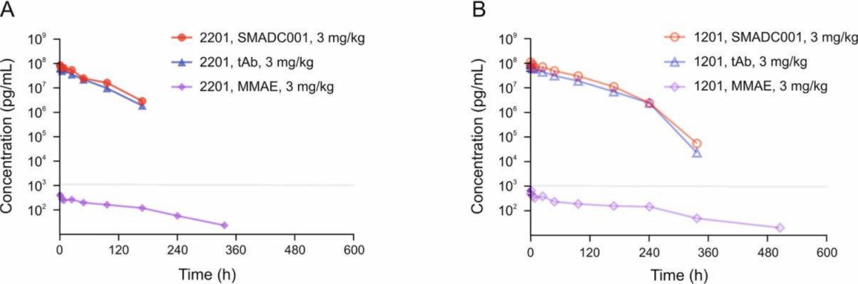 Fig. 4. Pharmacokinetic profiles of TROP2-ADC, tAb, and free MMAE in cynomolgus monkeys following a single intravenous infusion (3 mg/kg) of TROP2-ADC (Pei M, et al., 2022)