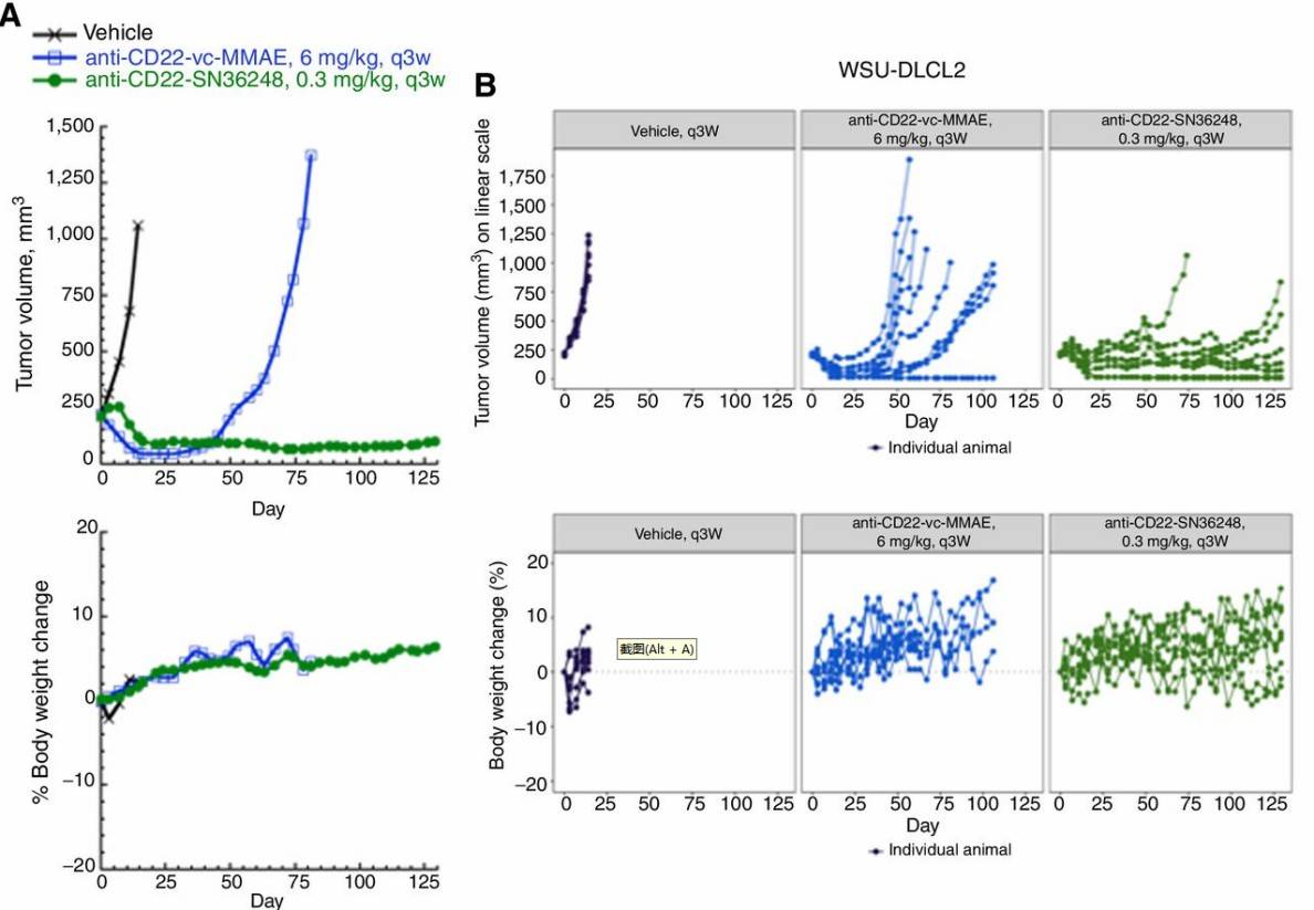 Fig. 3. Durable response to anti-CD22-SN36248 in the WSU-DLCL2 tumor xenograft model (Yu SF, et al., 2021)