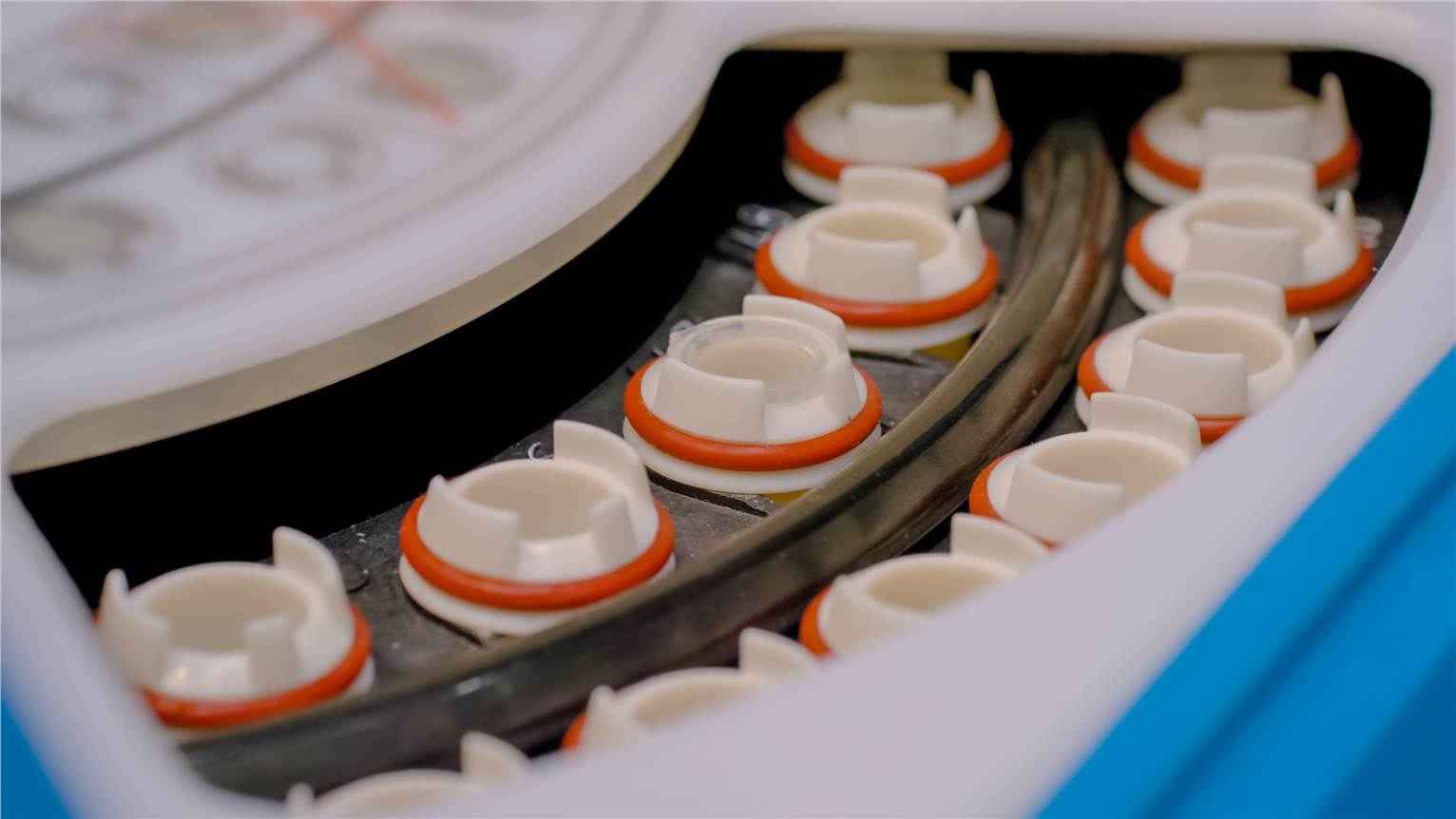 The Strategy for Characterizing ADCs by Capillary Electrophoresis