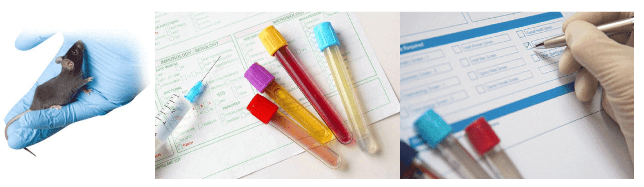 ADC Safety Assessment