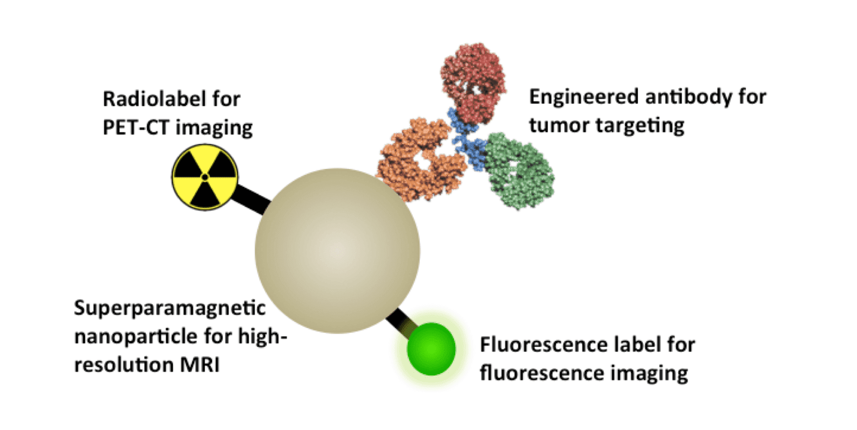Antibody-Nanoparticle Probes