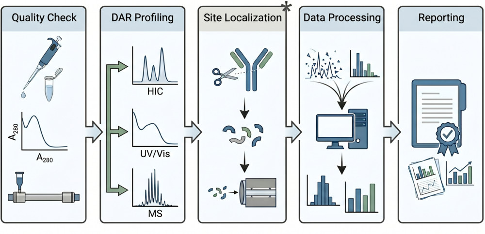 Integrated workflow for DAR and payload distribution analysis