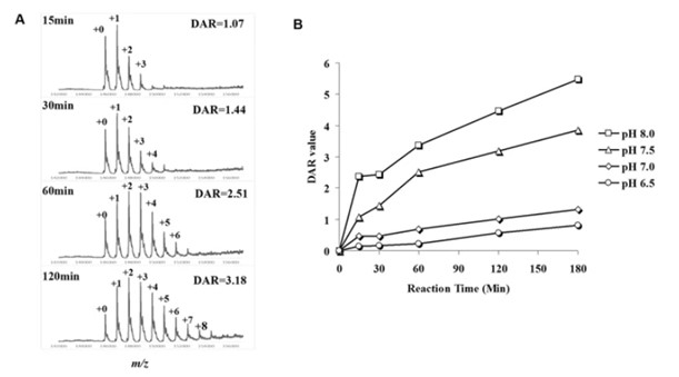 Real-time DAR detection for lysine-linked ADC conjugation condition optimization.
