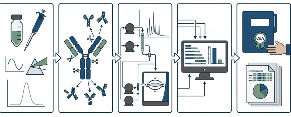 Integrated workflow for conjugate site analysis